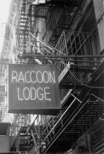 Raccoon Lodge 2.jpg