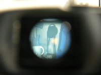 456147931_facbb6dde6_d.jpg