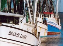 Working Boats.jpg