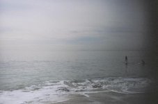 CA2009-4.jpg
