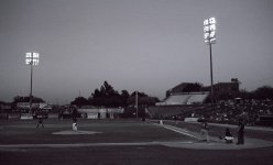 At the Plate II - dusk.jpg
