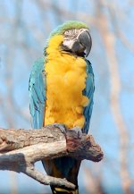 zenit-e  dallas zoo 6.jpg