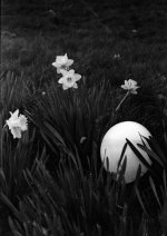 1+50 15 min Rodinol_20170319_0015.jpg