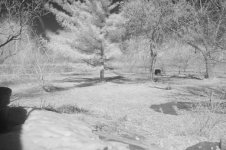 M9 35 Summaron 093 IR_0003.jpg