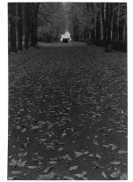 EJVS 259 1980 St. Cloud, Parijs klein.jpg