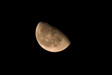 waning gibbous 28 Oct 10 -  03.jpg