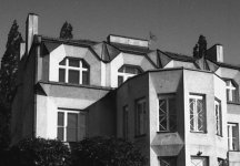 fomapan100_1_detail.jpg