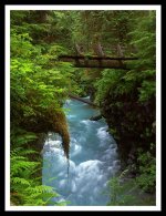 Pony Bridge Moss Point.jpg