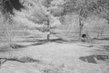 M8 35 Summaron 093 IR_0001.jpg