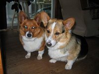 Fred-&-Ginger-FOR-APUG.jpg