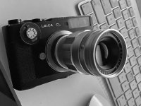 50173391337_3030b2c6b1_c (1).jpg