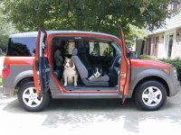 dogsnewride.jpg