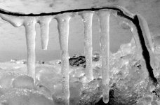 02-11 close up icicles.jpg