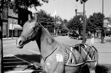 Horse on Square 2013 Post.jpg