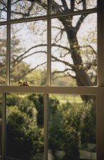 voigtlander VF101-2p.jpg