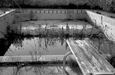neglected-pool-3.jpg