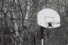 Elmar 90 test 006 (Medium).jpg