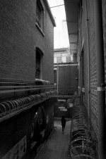 EPSN0570.jpg