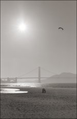 Polk, SF Commute, Crissy Field, MP 50'lux Kodak BW400-2 06-2007 VS 4000 Scan-070628-0008.jpg