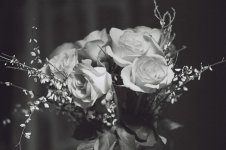 Elmar 90 test 018 (Medium).jpg