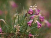 small (4 of 4).jpg