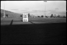field.jpg