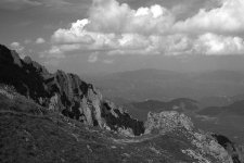 P1040067RW2-1.jpg