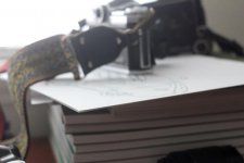 dof50.jpg