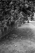 5.Pjerasudavichy 2016 (M2, 35 2.8, XP2 Super), 2016264-2A.jpg