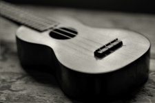 uke-1.jpg