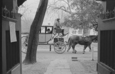 carriage.jpg