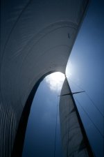Sails2.jpg
