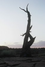Colorado National Monument 3.jpg