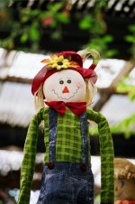 scarecrow.jpg