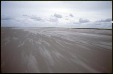 e100GX_016.jpg