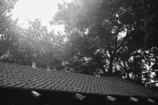 Roof flair.jpg