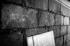 _X1S0019-1-1-1.jpg