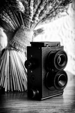 tlr11.jpg