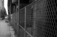 fence.jpg