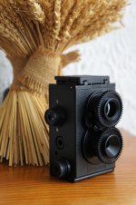 tlr10.jpg