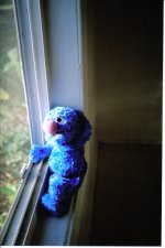 Grover2.jpg
