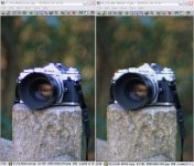 centre @ wide open.jpg