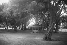 9-8-2007-02.jpg