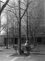 library022rff.jpg