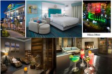 Nikon D800 __ 2 .jpg