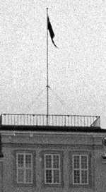 Crop 1- LS4000ED.jpg