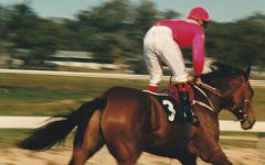 racehorse no 3 cloth.jpg