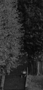 Crop 2 - 3200.jpg