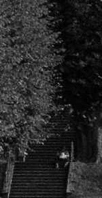 Crop 2 - D80.jpg