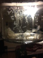 Photo 1-10-2014, 22 19 52.jpg